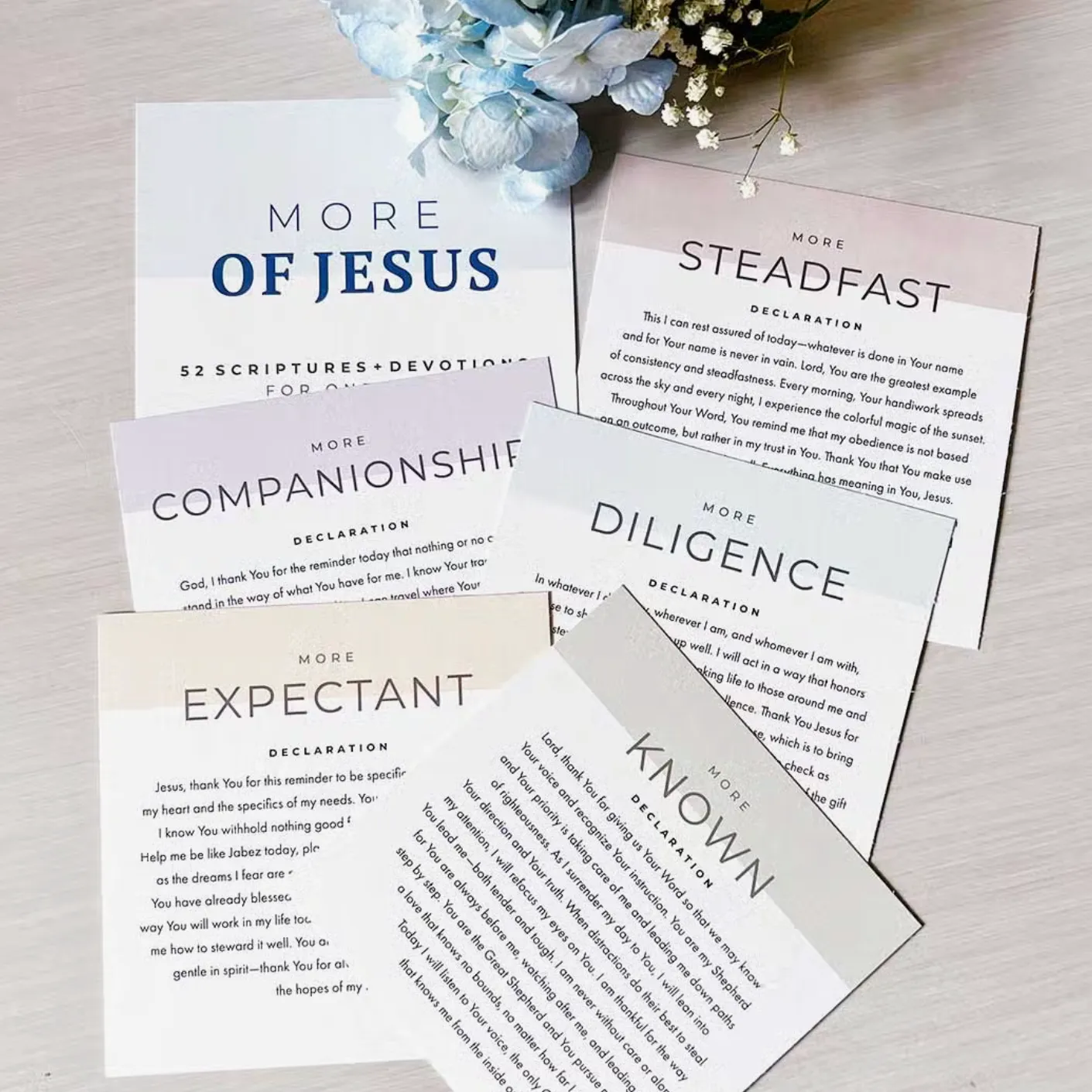 More of Jesus Scripture Devotional Set