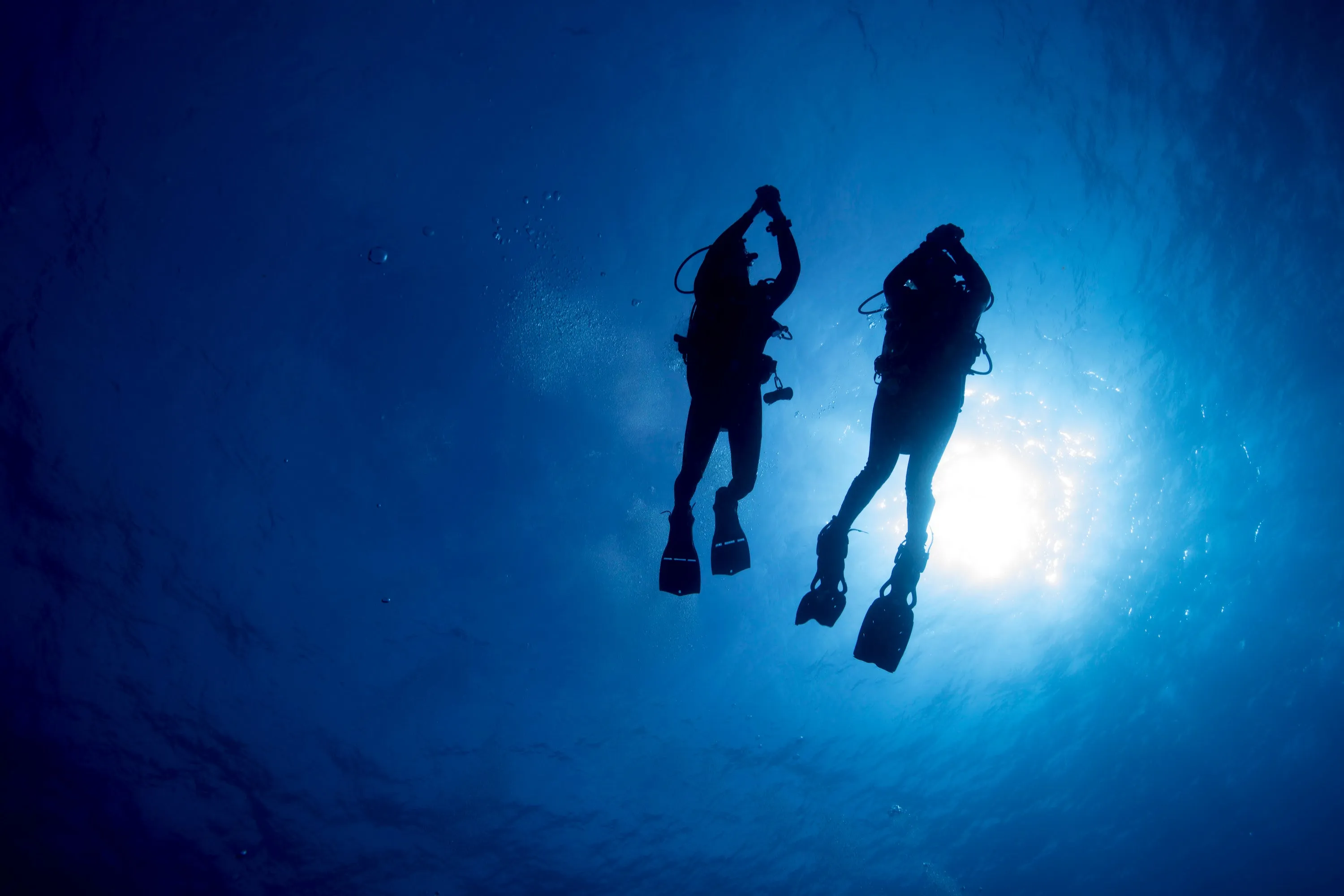 PADI Private Open Water Scuba Diver Course