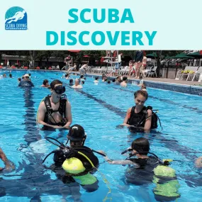 Scuba Discovery