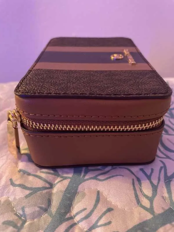 Small Logo Stripe Jewelry Case