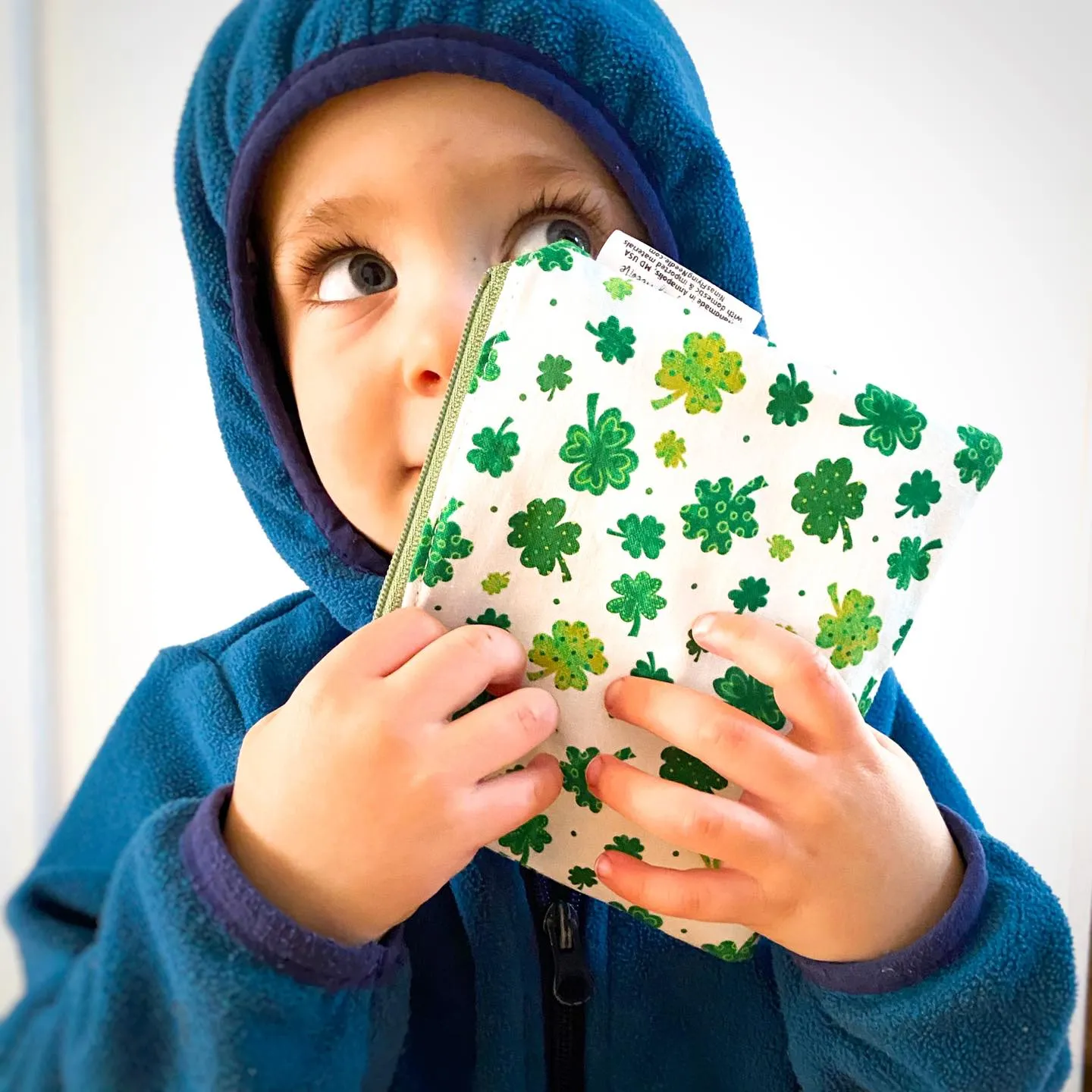 Toddler Sized Reusable Zippered Bag Cars