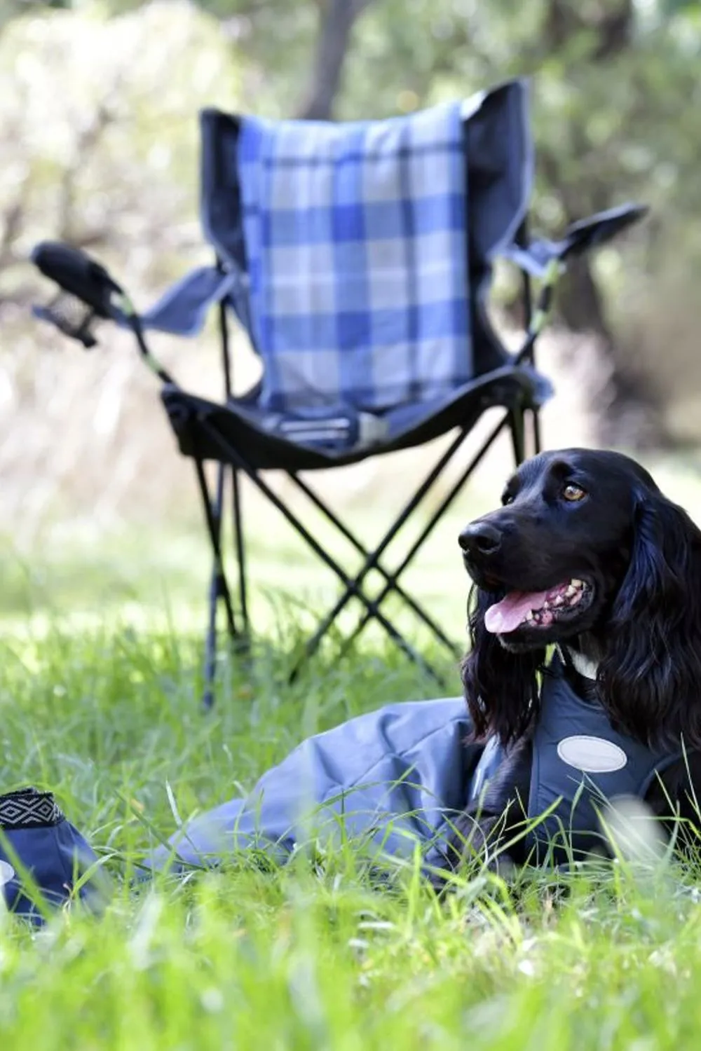 WeatherBeeta Explorer Dog Sleeping Bag